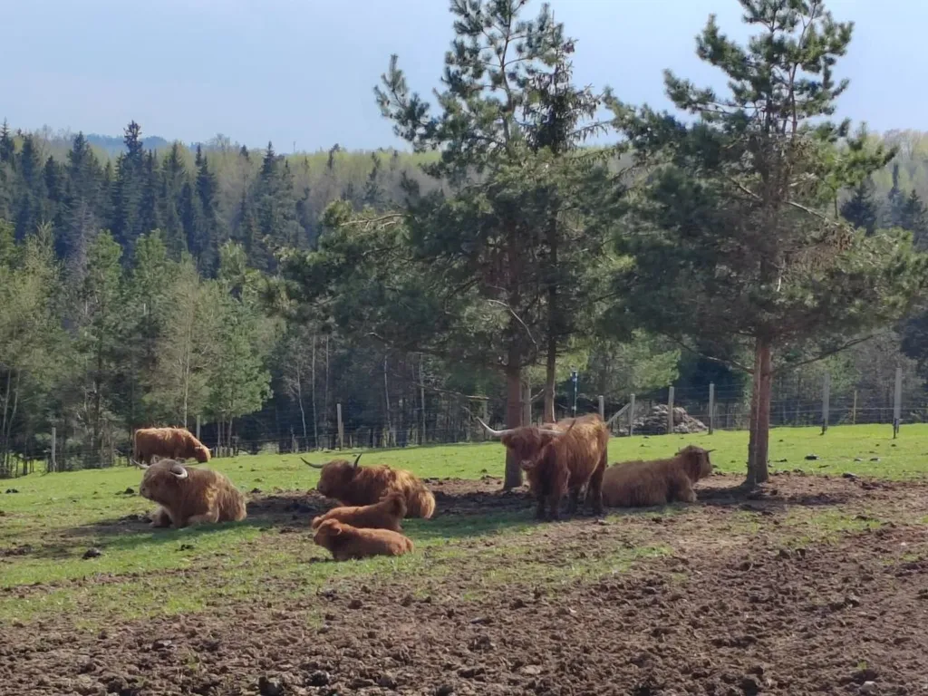 Частный загородный дом Freedom