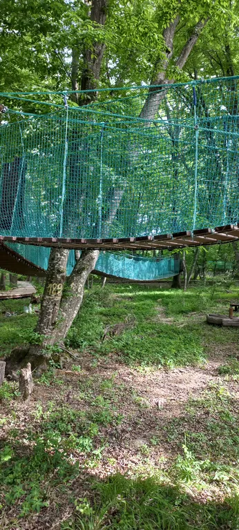 Апартаменты в 150 метрах от моря и 200 метрах от лианового леса