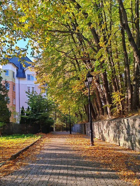 Квартира Квартира Двухкомнатный апартамент с видом на озеро Тихое — Светлогорск