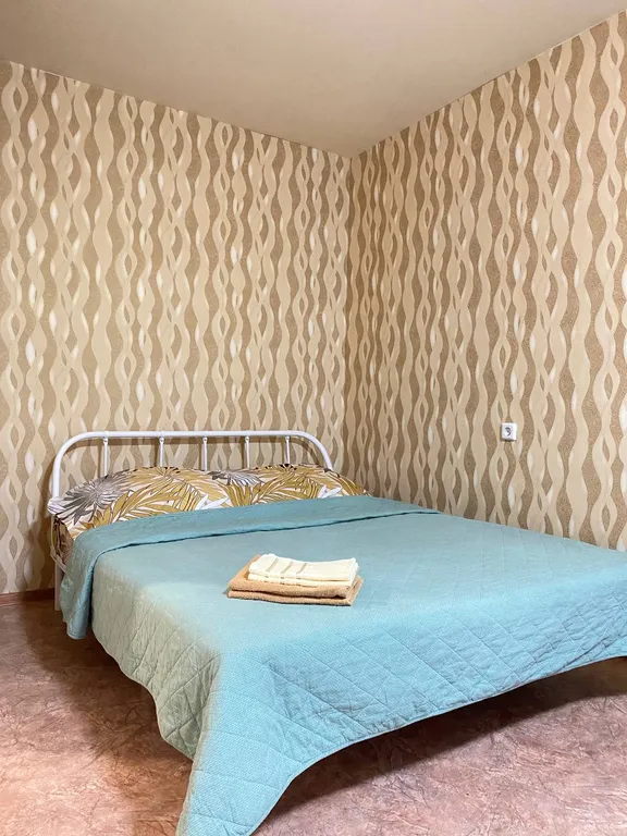 1-комнатная квартира в шаговой доступности от памятника Славы — аренда посуточно в Воронеж