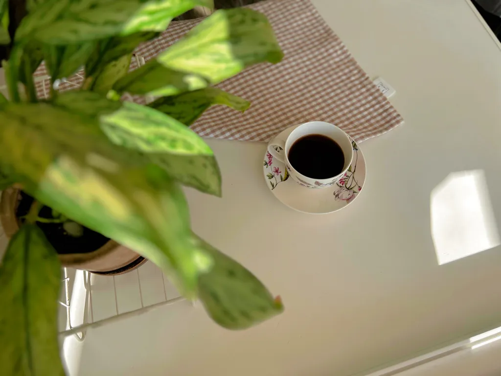 Апартаменты в центре с видом на Волгу