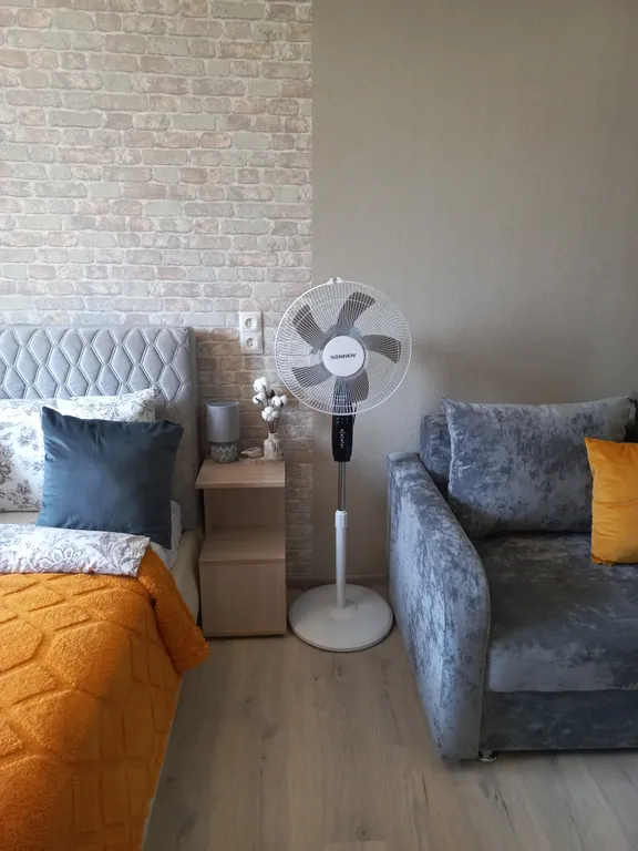 Большая, солнечная студия с перегородкой