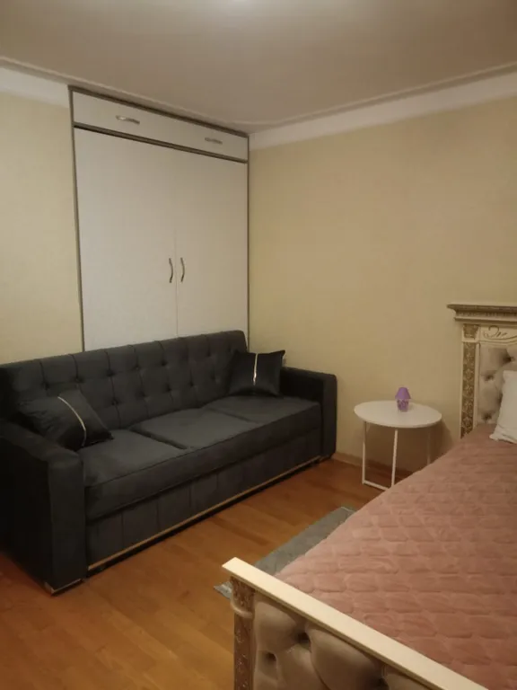 Уютная квартира в самом центре города