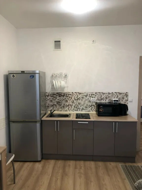 Уютная студия в Академическом районе