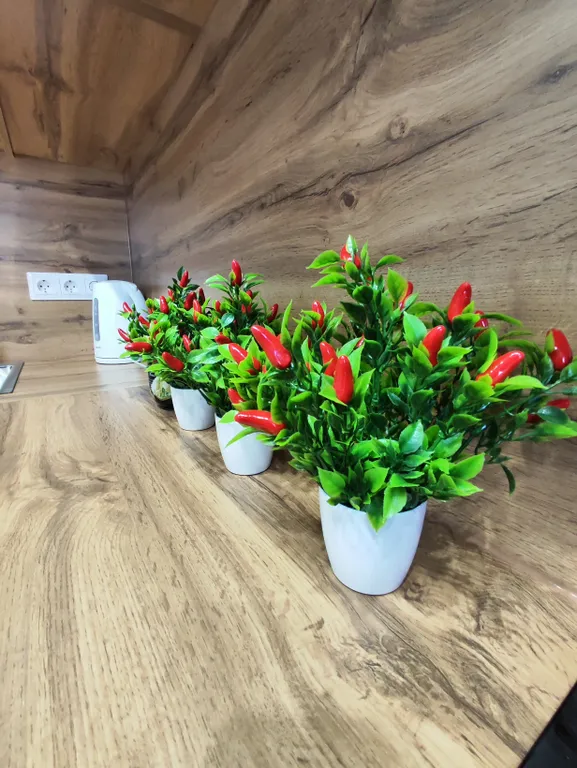 Уютная квартира от собственника в хорошем районе города