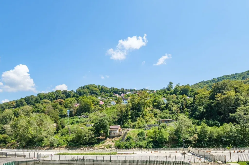 Стильная новая студия с видом на лес