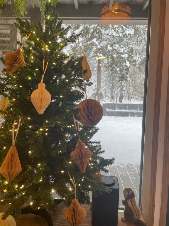 Уютный дом в тишине хвойного леса