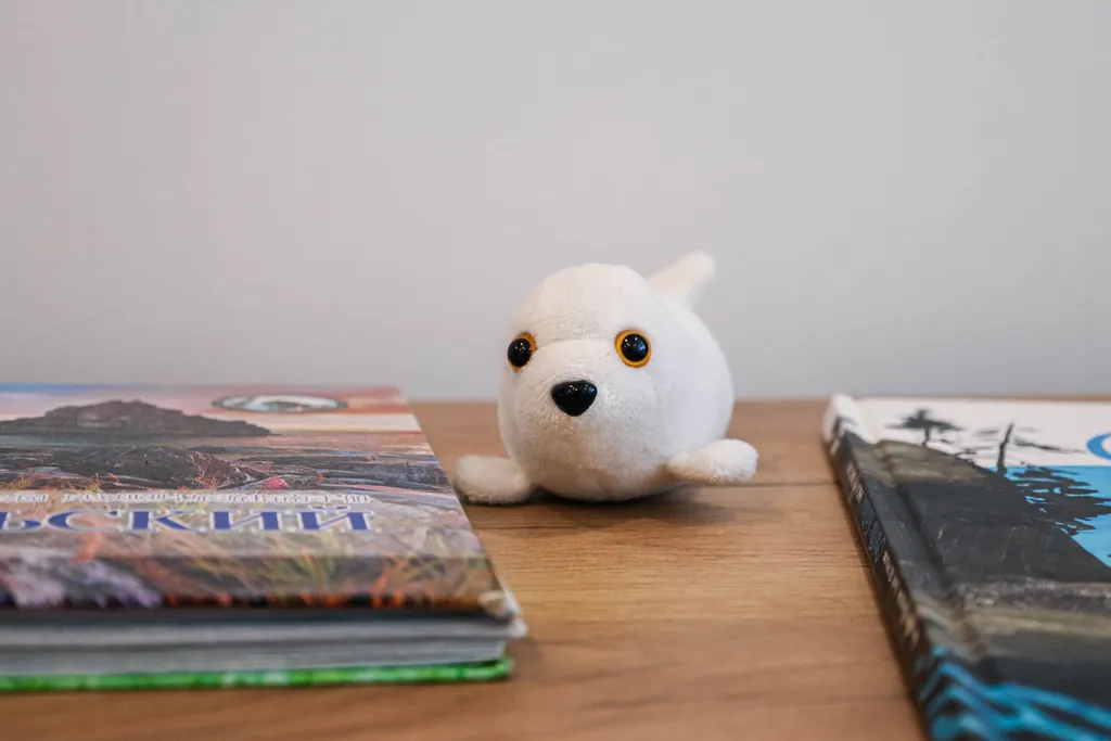 Квартира на берегу Байкала