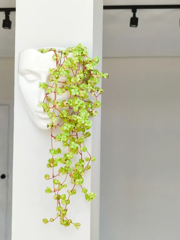 Современный дом с панорамными окнами и сауной