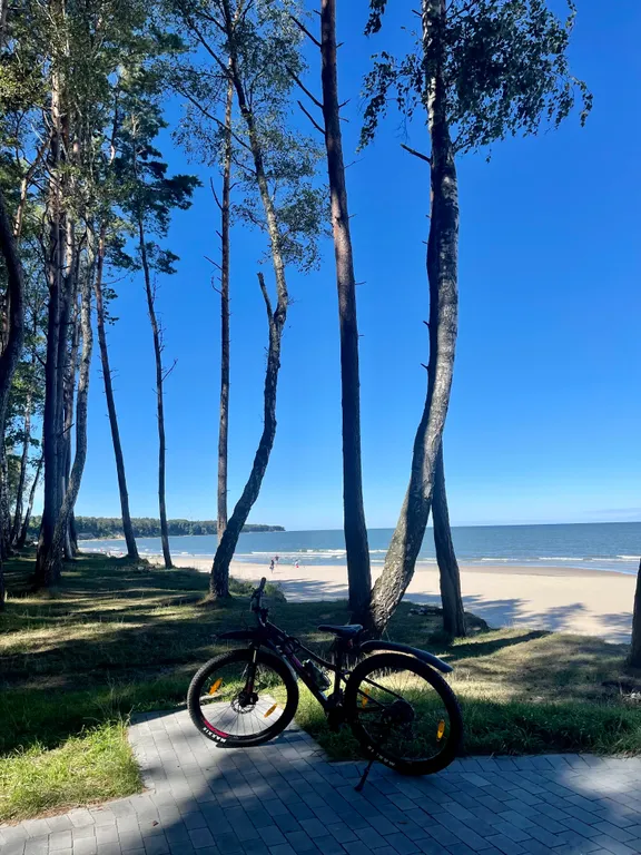 Дом с баней, караоке, PlayStation и Алисой на берегу моря