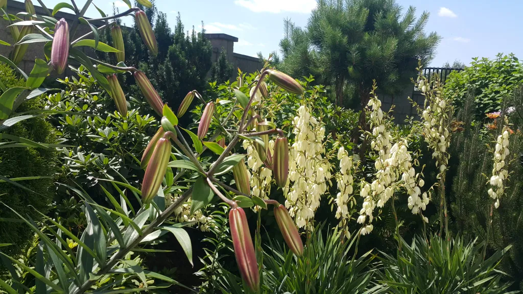 Вилла дзен с ванной спа и террасой с видом на сад