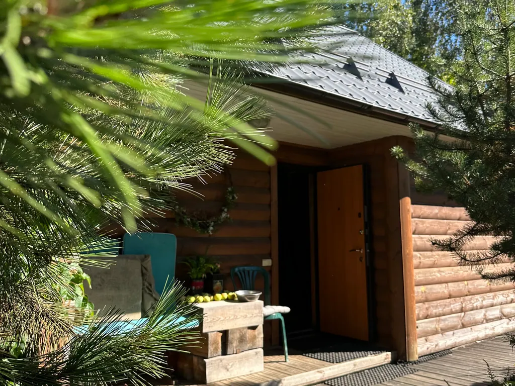 Домик художника