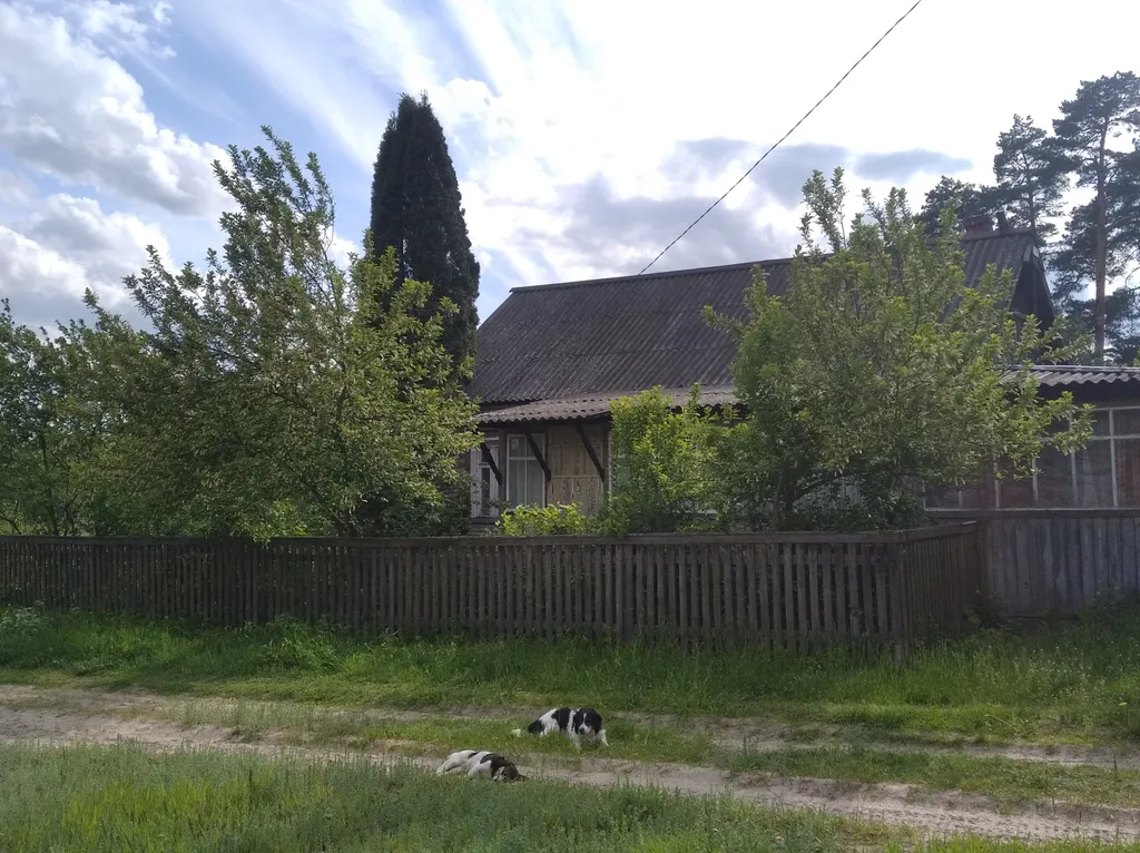 Лесной домик за рекой