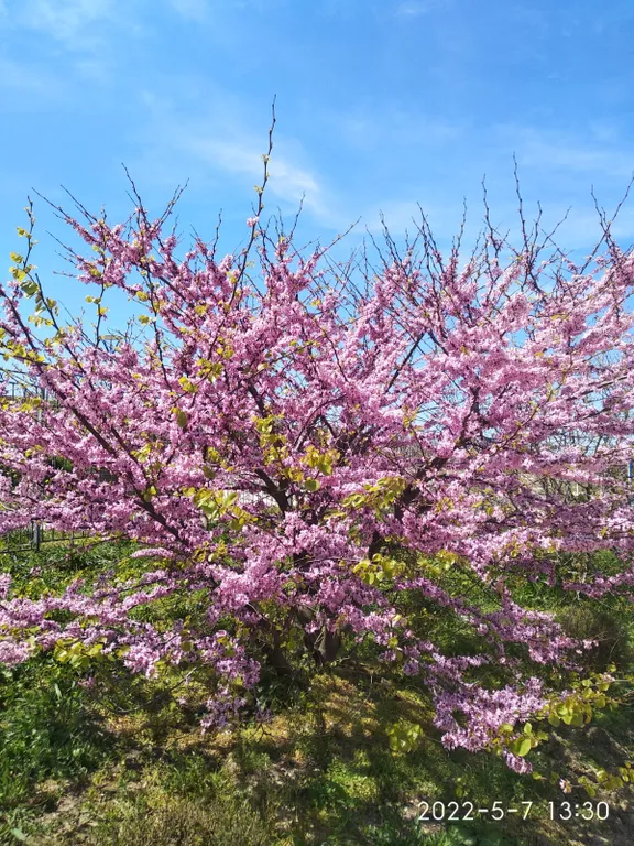 Квартира Квартира Адмиральская лагуна с балконом — Севастополь