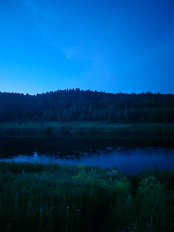 Эко - дом в лесу в гостях у Миродары