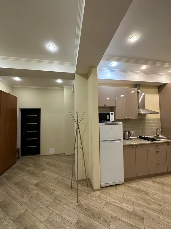 Евро-двухкомнатный апартамент Лаура 8