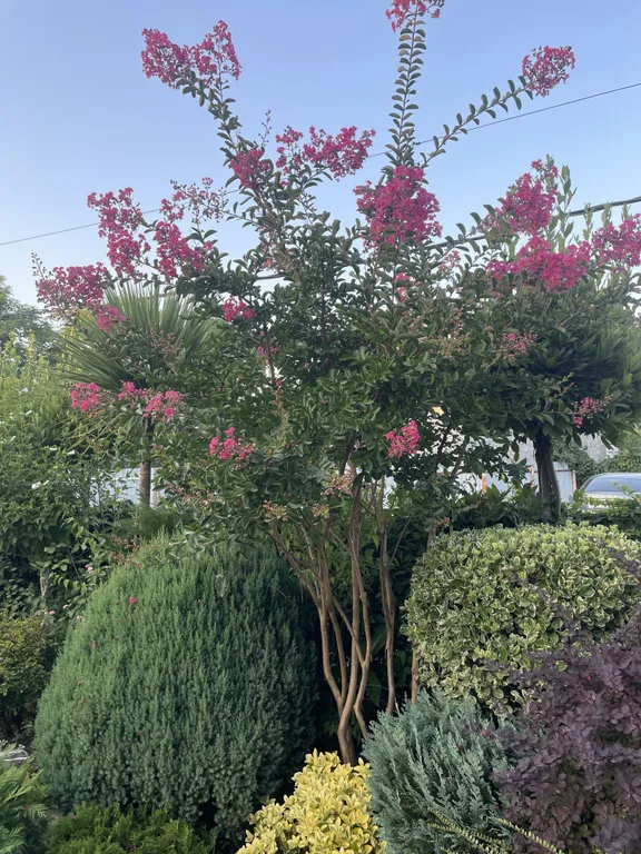 Квартира Квартира Сад у моря — Сухум