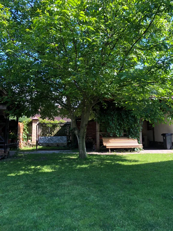 Дом у озера в 10 минутах ходьбы от центра города