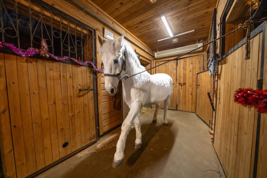 Большой коттедж с сауной