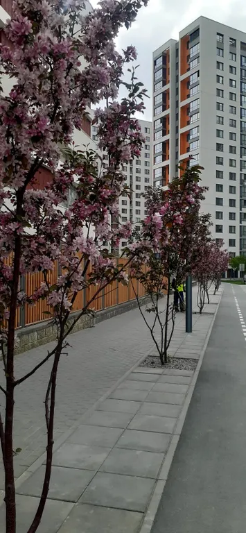 Уютная квартира в микрорайоне Европейский