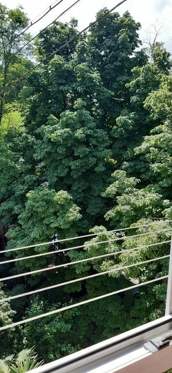 2-комнатная квартира у моря