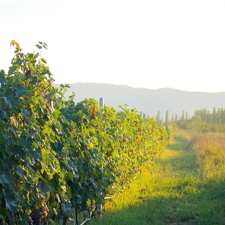 Finca Idoize Camping Hotel