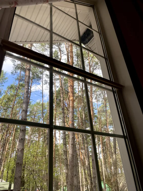 Уютный бревенчатый дом в сосновом бору