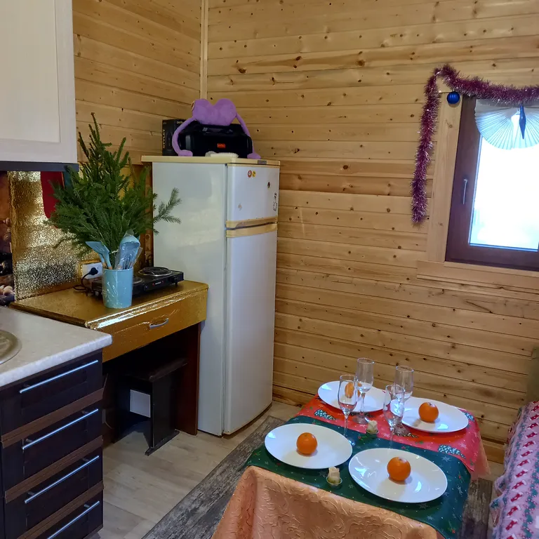 Отдых в уютном, уединенном домике на 6 сотках.