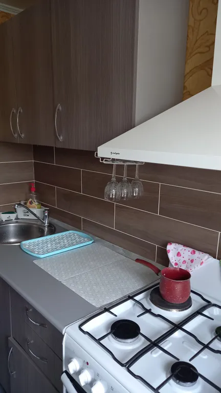 Уютная квартира в центре города с видом на гору Змейка