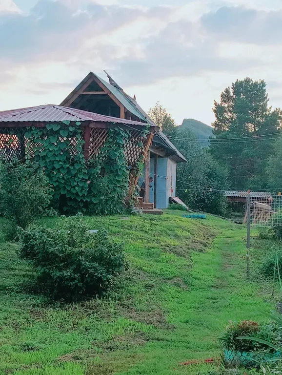 3-комнатная Квартира — аренда посуточно в Белокуриха