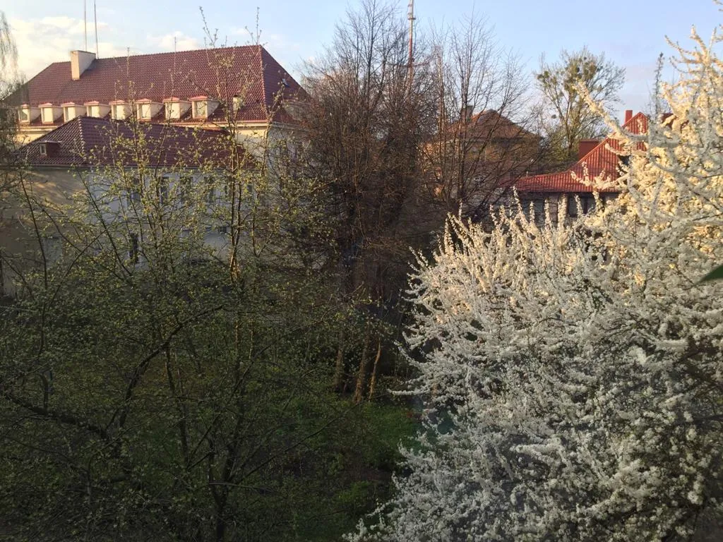 Квартира Квартира Апартамент (бывший Хуфен - Зоопарк) — Калининград