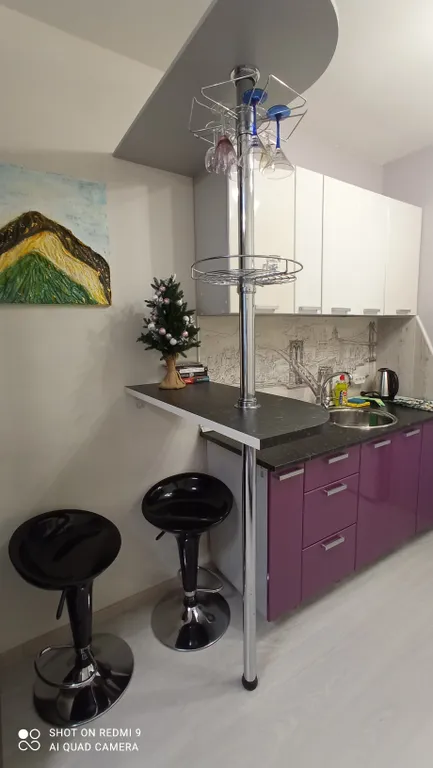 Уютная студия с видом на бульвар