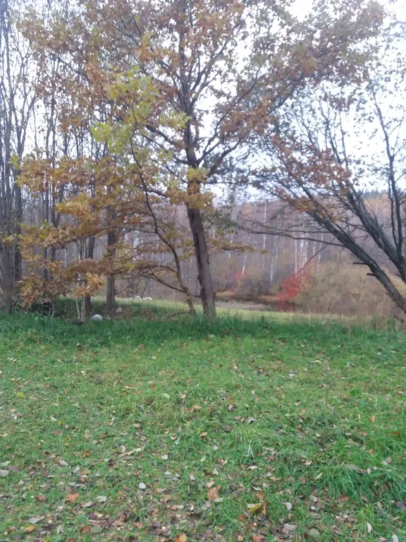 Дом на склоне холма у реки