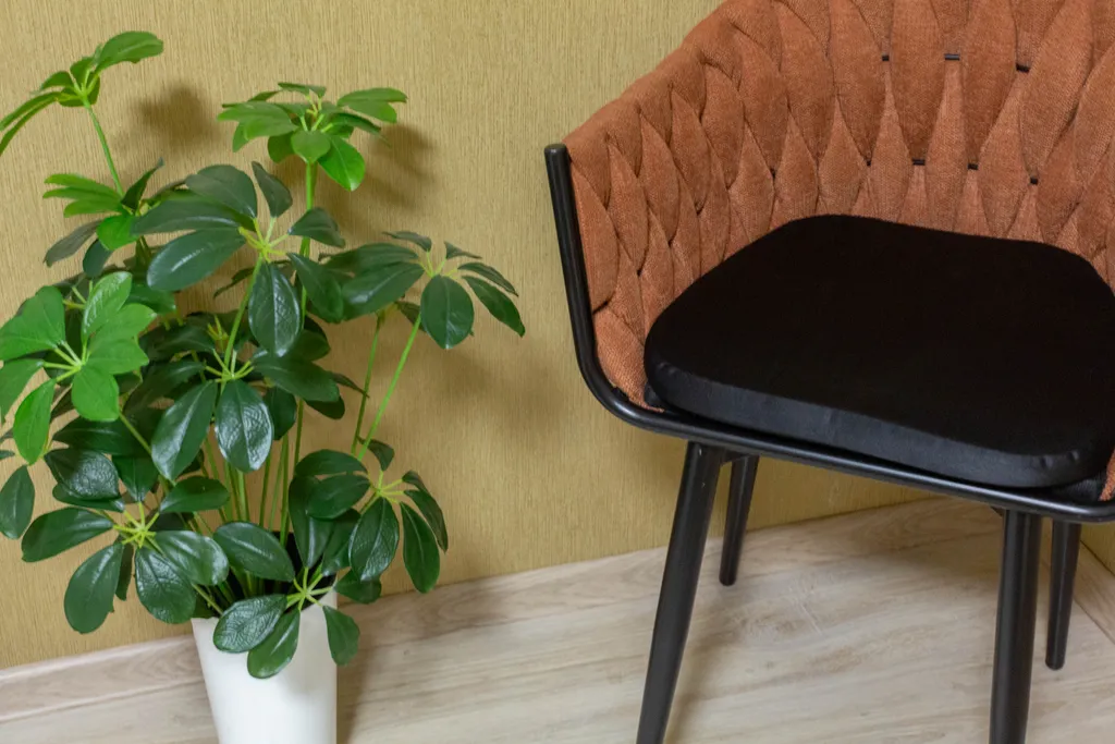 Тёплый ветер — отдых, согретый теплом