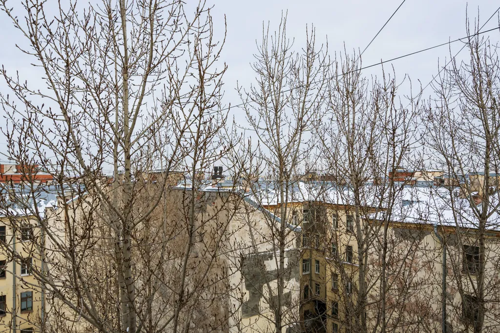 Квартира Апартаменты у Летнего сада в центре с парковкой — Санкт-Петербург