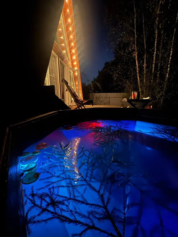 Дом с баней и чаном у леса