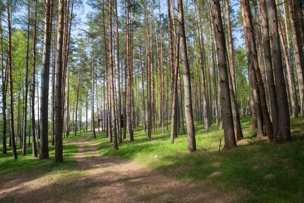 Эко-усадьба Архангельская на Волге