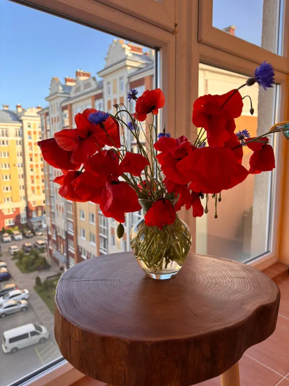 Квартира Уютная квартира возле моря и парка — Зеленоградск