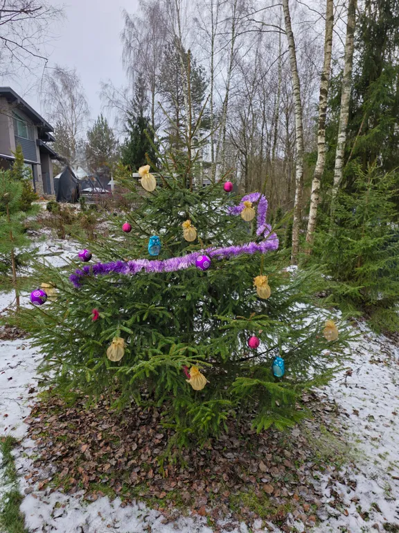 Новая сфера для глэмпинга Бёрд&Self vibe с дизайнерским интерьером