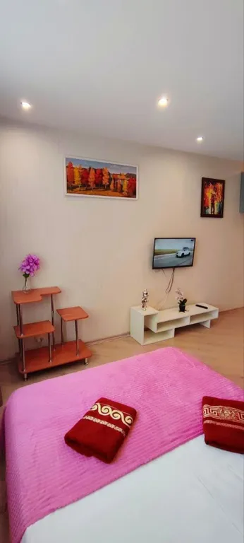 Апартаменты на Красноармейском