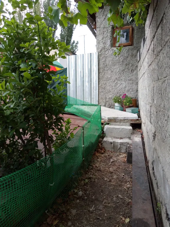 Квартира в самом центре рядом с парком и дворцом