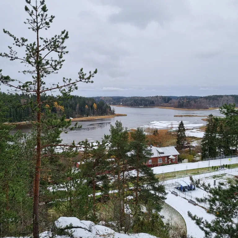 Дом Talotonttu на холме в окружении леса