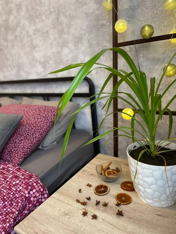 Квартира Уютная квартира в современном жилом комплексе — Краснодар