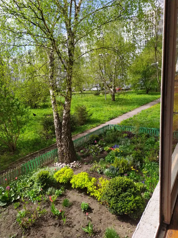 Квартира Двухкомнатная квартира в историческом центре города. — Калининград