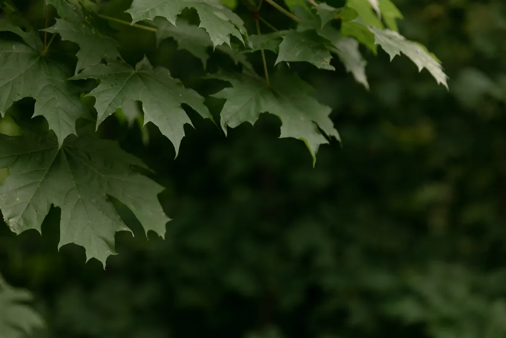 Модульный дом №2