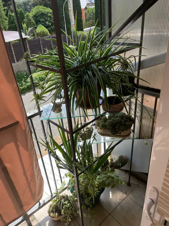 Квартира 1-комнатная Квартира — Лазаревское