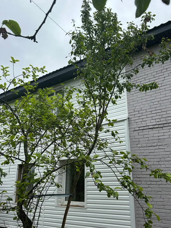 Дом с елкой и снеговиком, за домом манеж с лошадьми