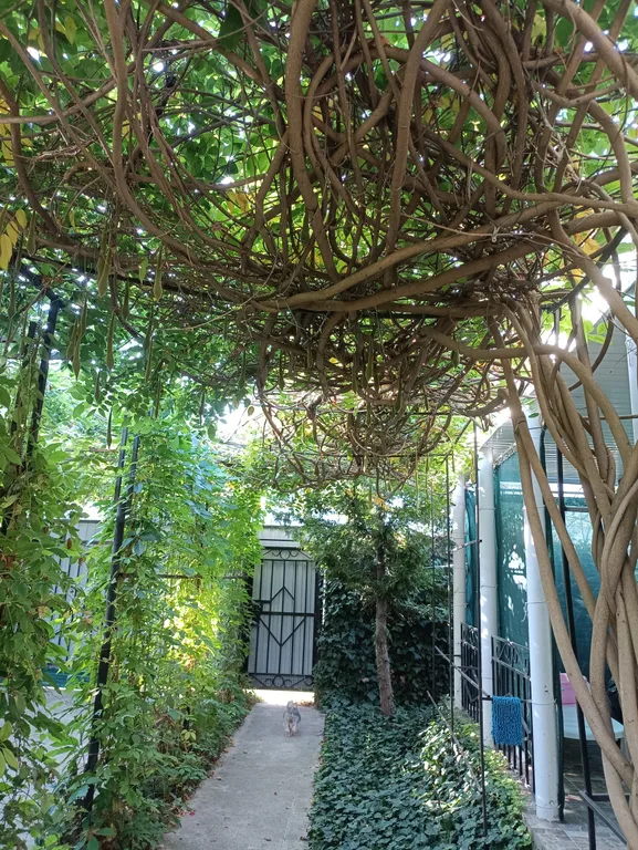 Уютный отдельный домик