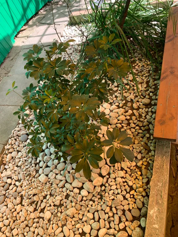 Квартира 1-комнатная Квартира — Сочи