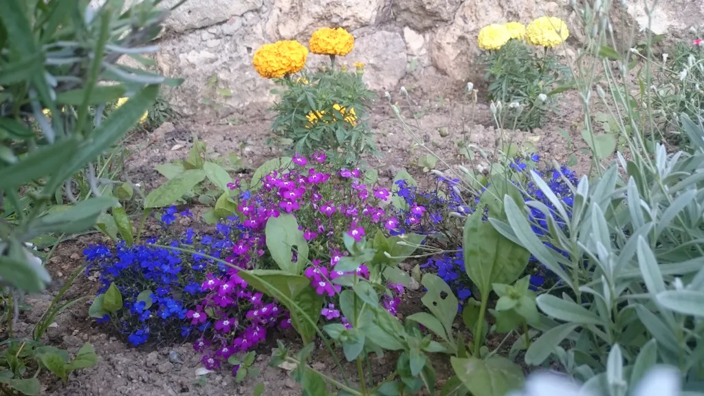 Двухместный номер в гостевом доме с уютным крымским двориком